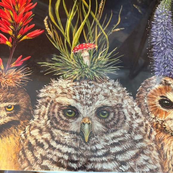 Hester & Cook Baby Owls Paper Placemat 24 Sheets Vicki Sawyer American Made - Picture 7 of 7